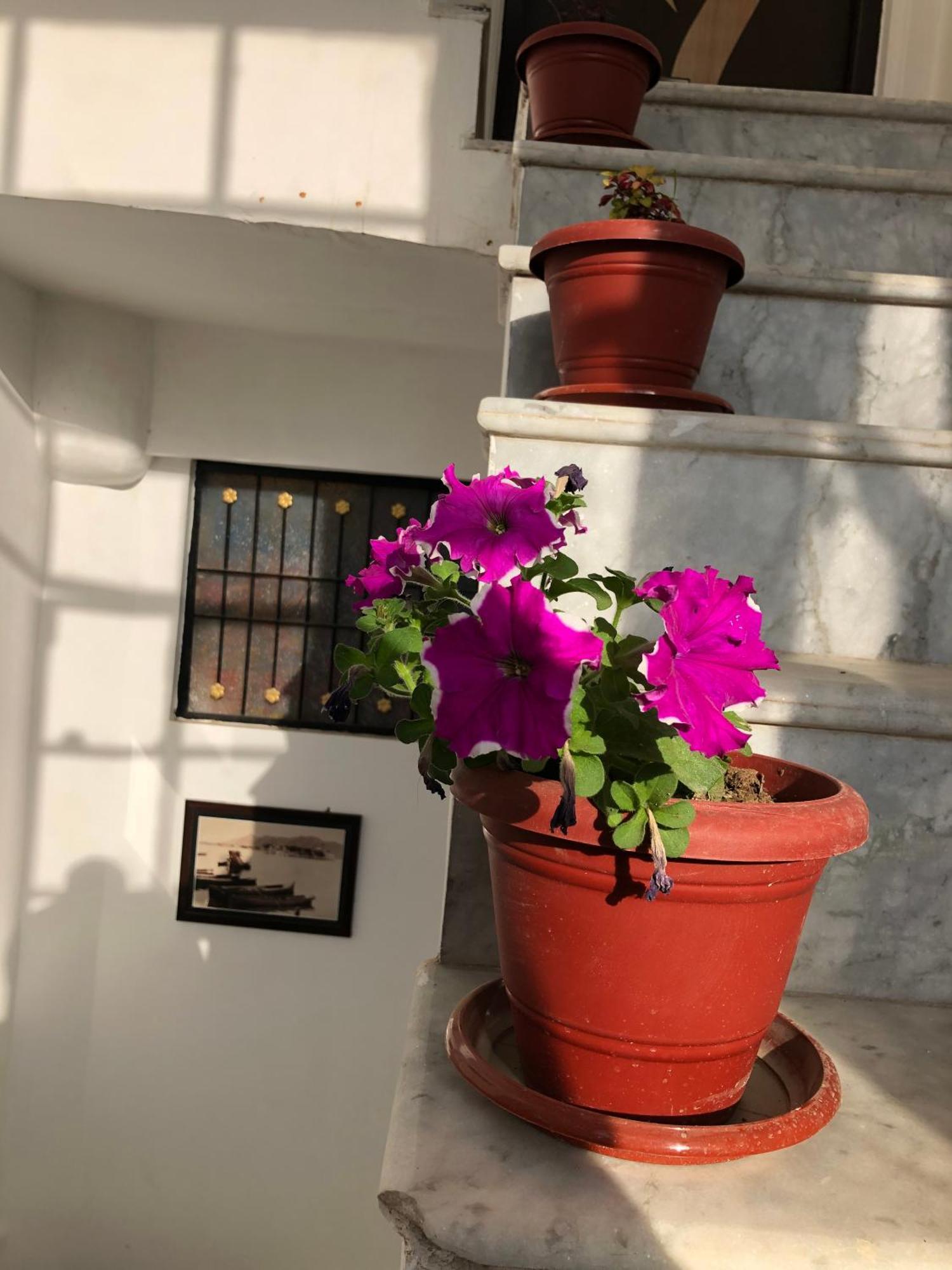 Hotel Nirvana Lakeside Udaipur Luaran gambar