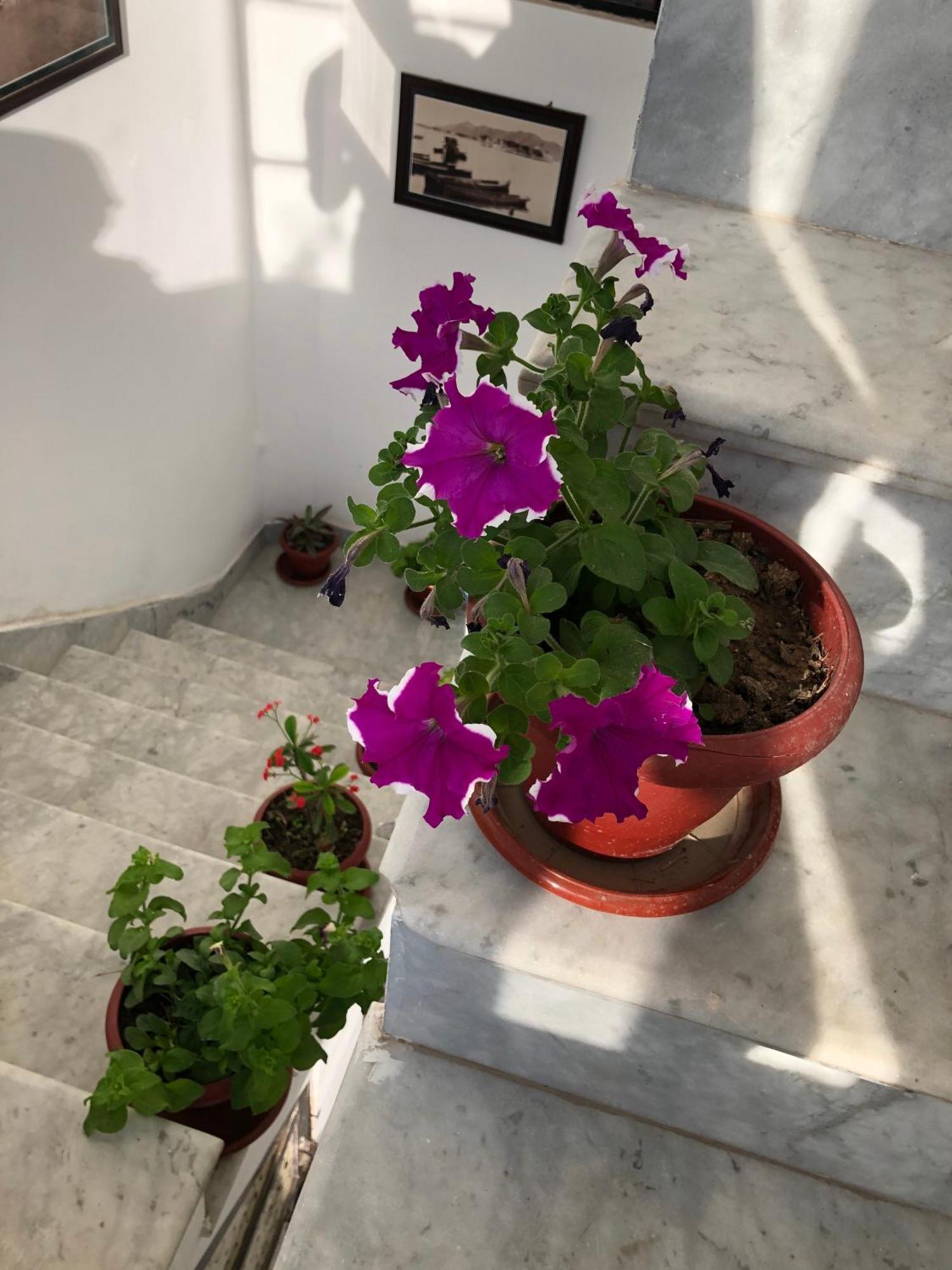 Hotel Nirvana Lakeside Udaipur Luaran gambar